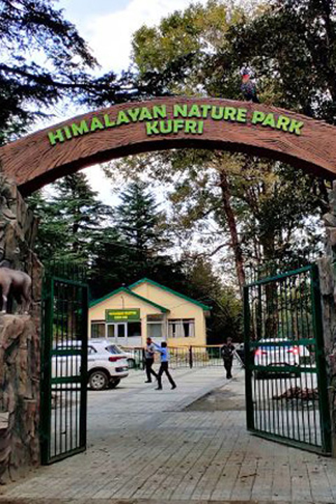 Shimla Manali Tour untitled design 1