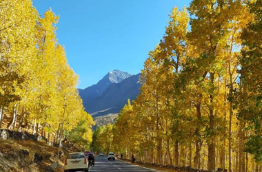 Manali to Chandratal Lake Tour sissu 1